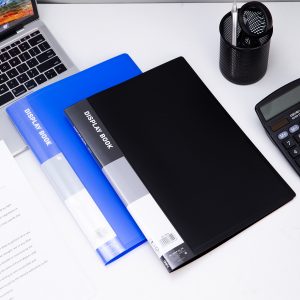 Папка с 10 прозр.вклад. Deli E38144 A4 полипропилен 0.5мм ассорти