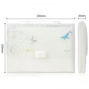 Папка-портфель Deli 72578 13 отдел. A4 полипропилен ассорти